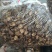 大量批发香菇，有需要的老板请下单