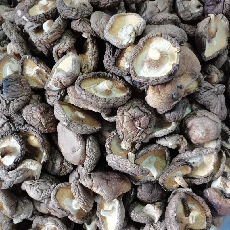 大量批发香菇，有需要的老板请下单