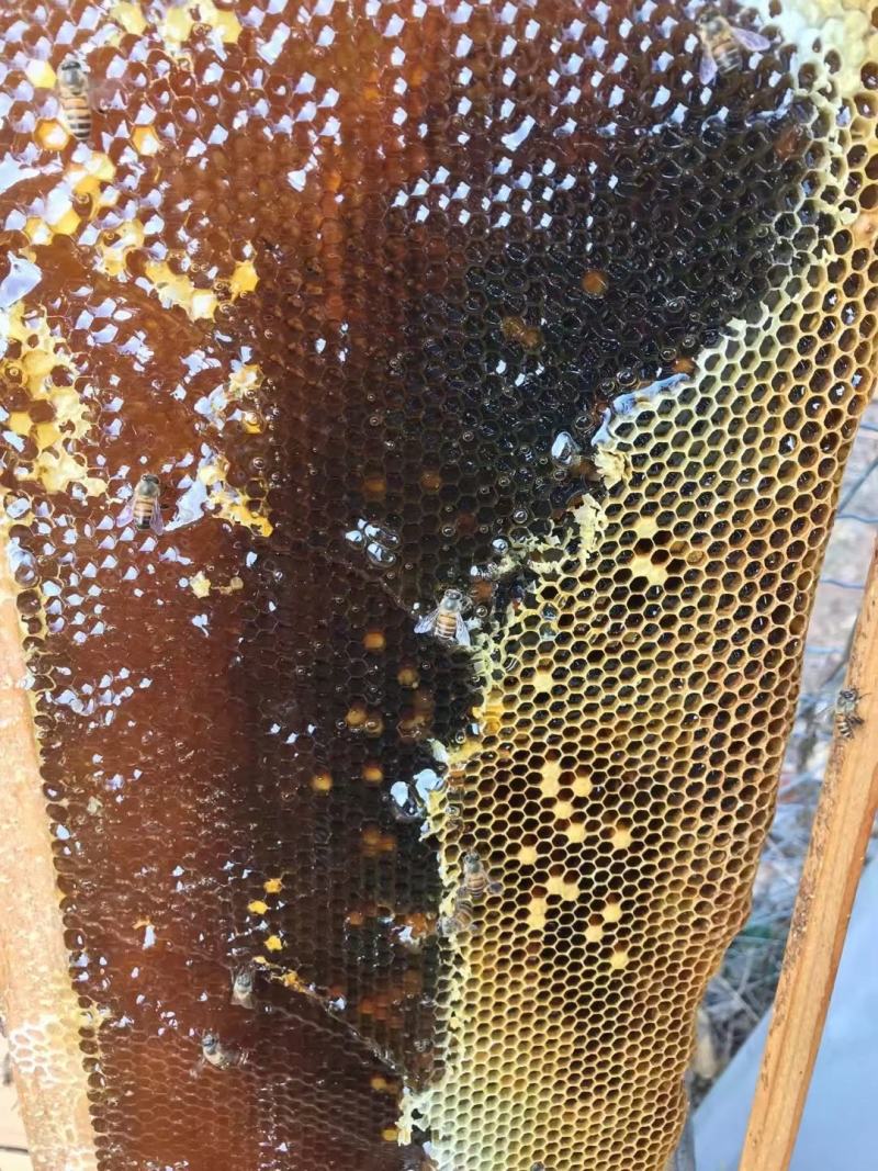 农家蜂蜜