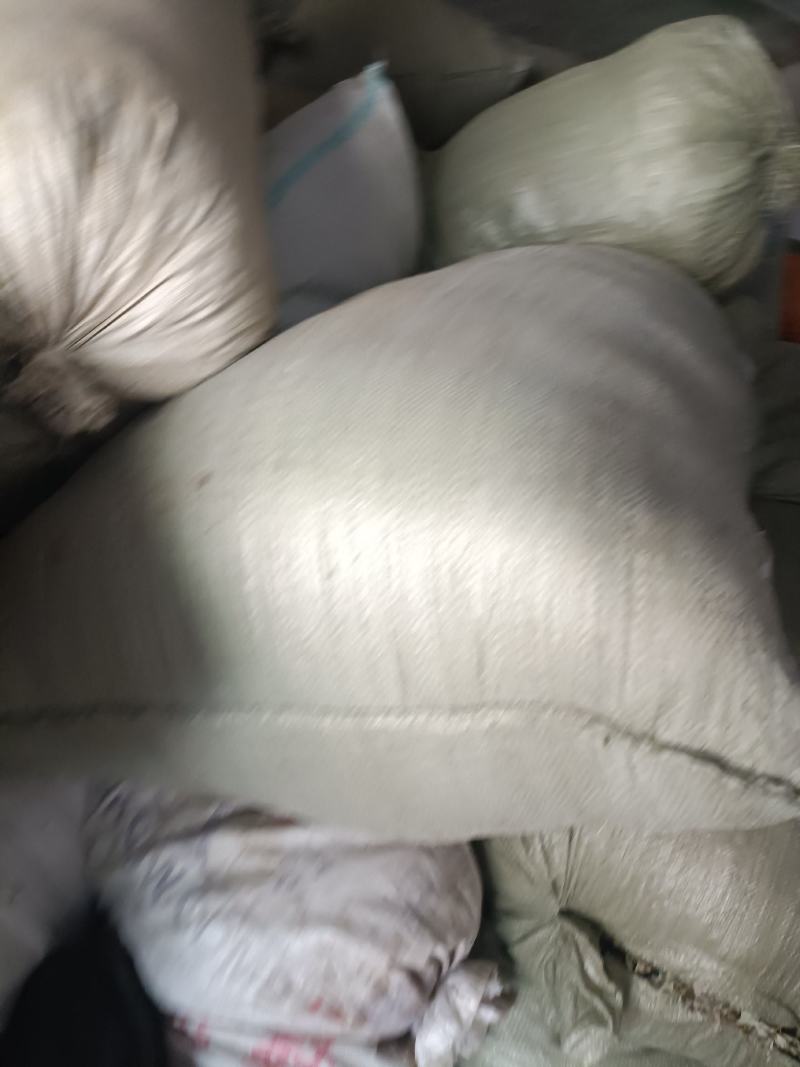夏古球一一一野生零售批发一手货源产地直发