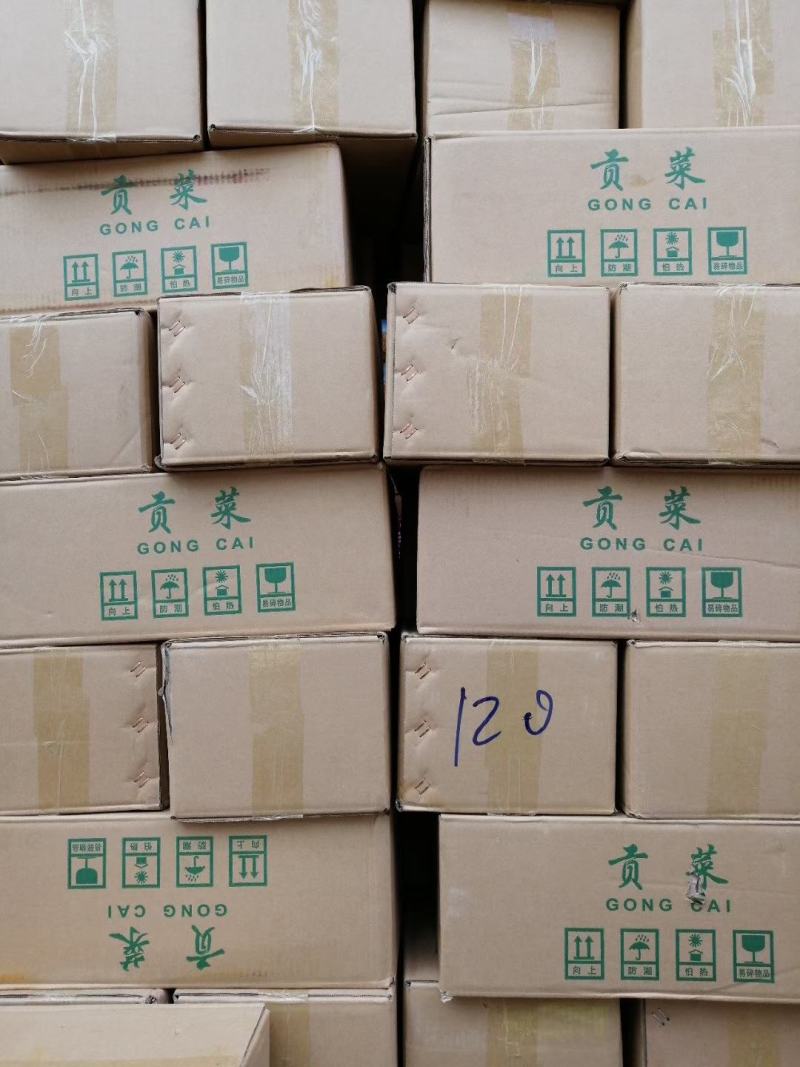 贡菜各种规格