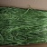 贡菜各种规格