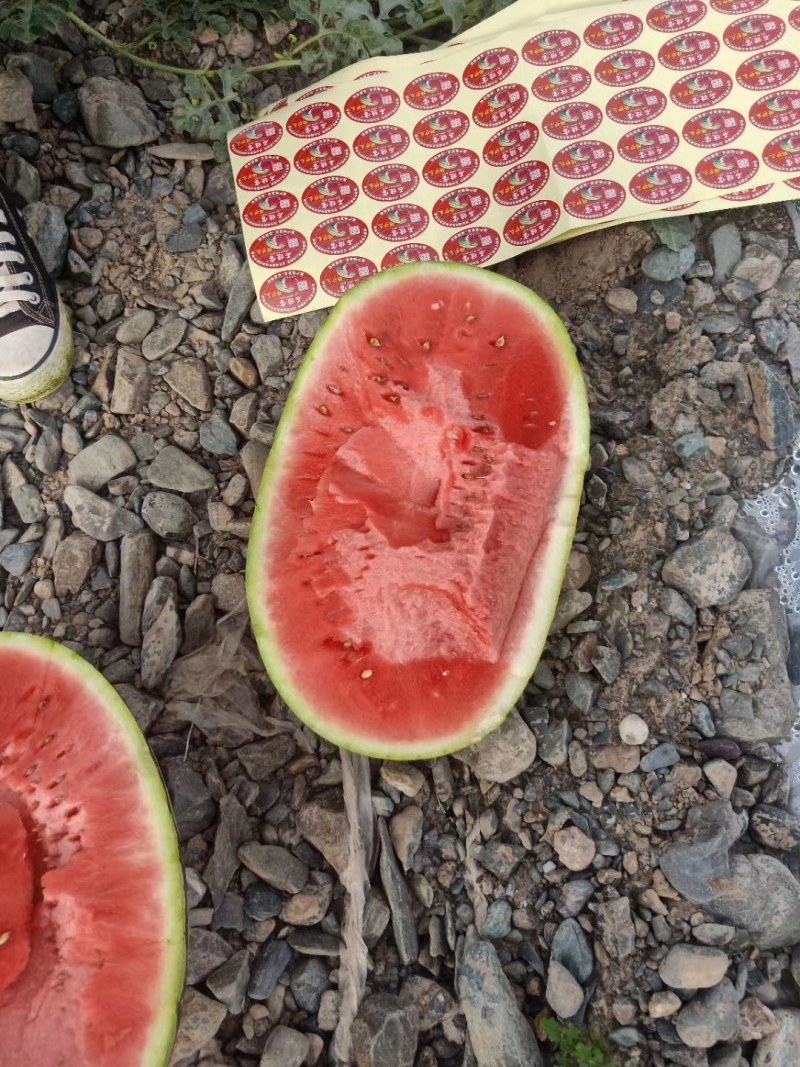 硒砂瓜