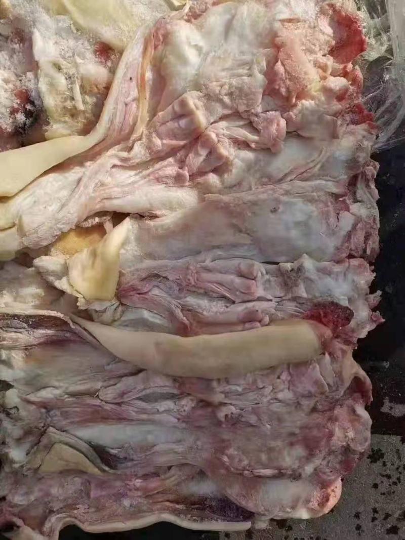 【实力推荐】牛蹄牛掌，半去骨牛蹄，去骨牛蹄，各种规格
