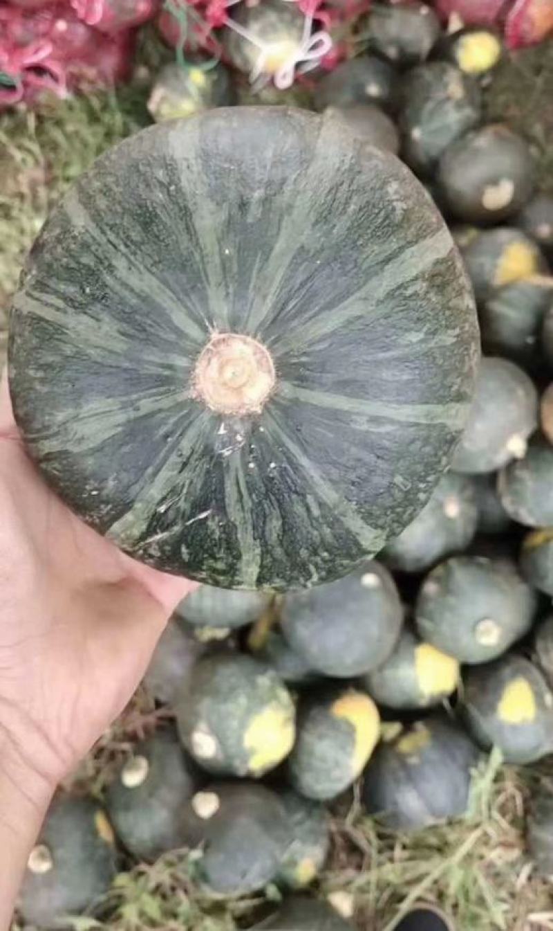 梨树精品南瓜上市，有需要的全国各地朋友，欢迎你们来采购