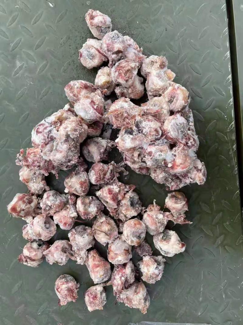 熟羊眼，质量好，价格合适，一手货源，全国冷链发货