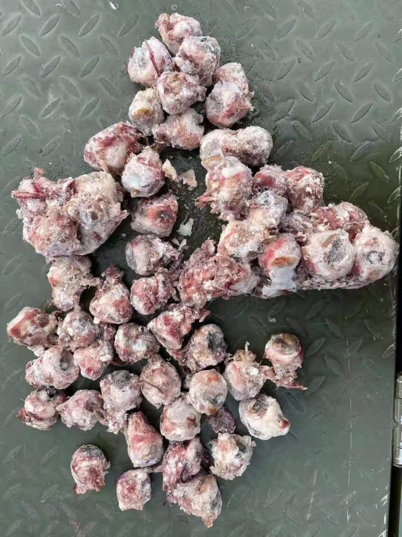 熟羊眼，质量好，价格合适，一手货源，全国冷链发货