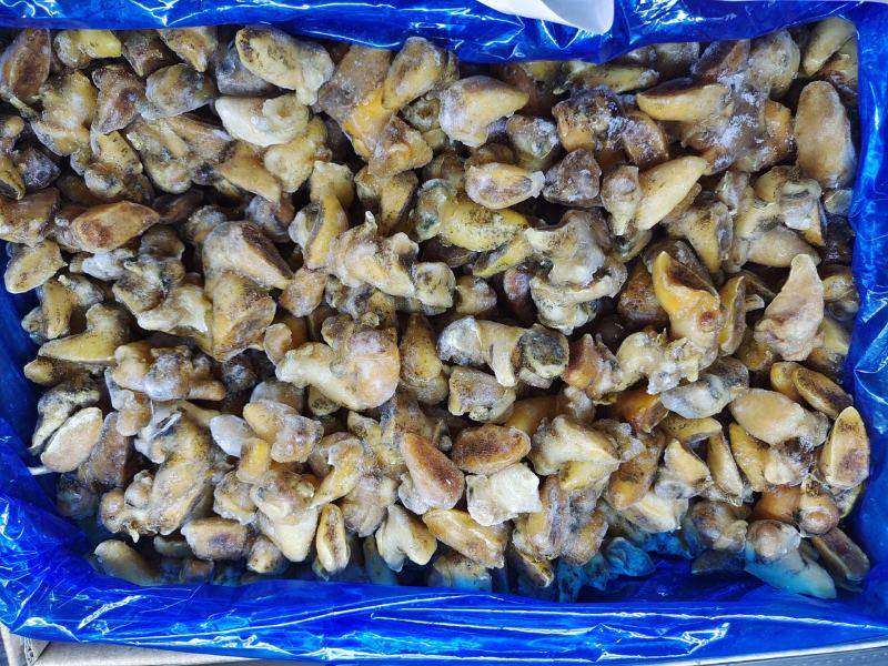 珍珠鲍螺肉