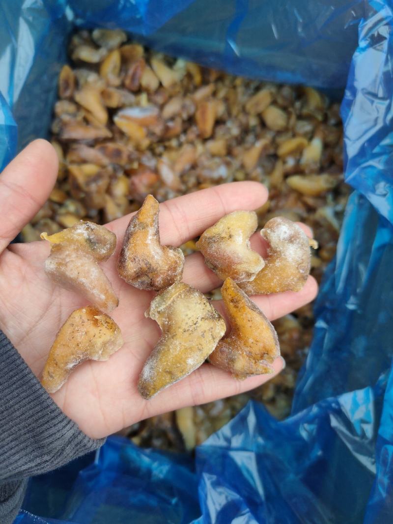 珍珠鲍螺肉
