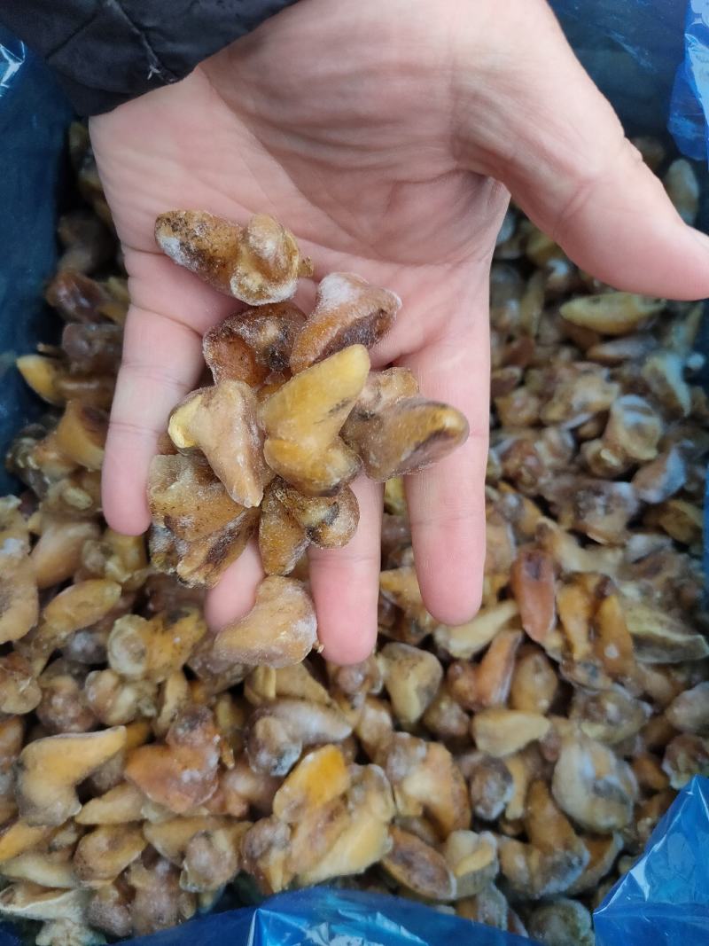 珍珠鲍螺肉