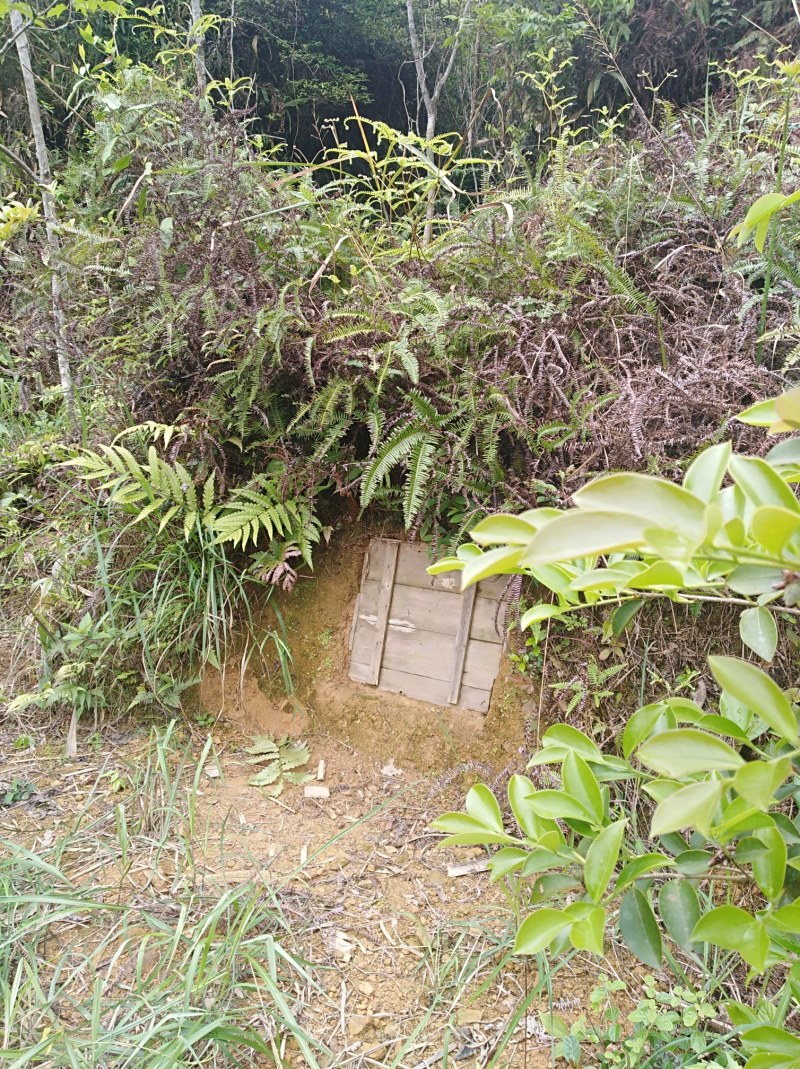 本地中蜂蜜，每年取一次蜜，不浓速，波美度40，39