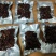 今天，你吃牛肉了吗？