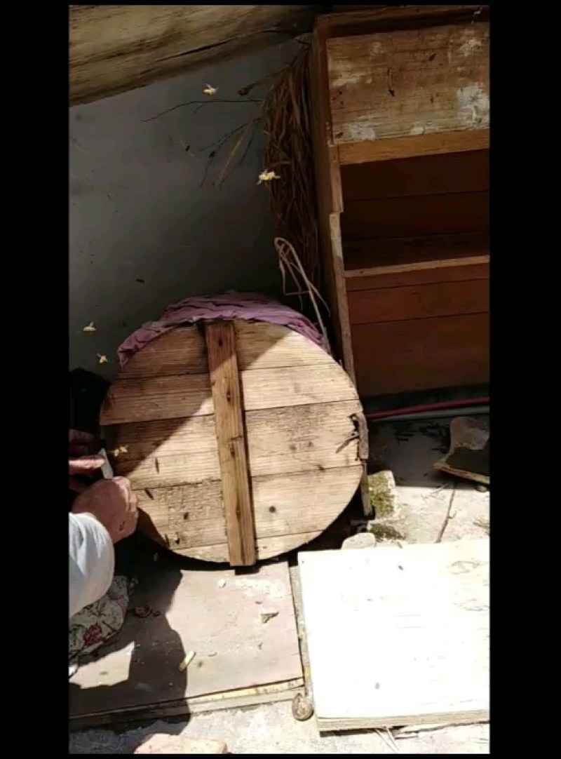 本地中蜂蜜，每年取一次蜜，不浓速，波美度40，39