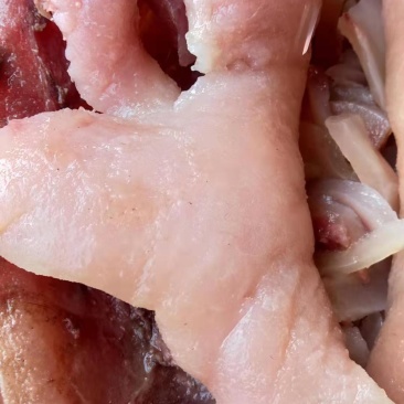 牛头皮丝，凉拌食材！全国冷藏运输快递直达乡镇