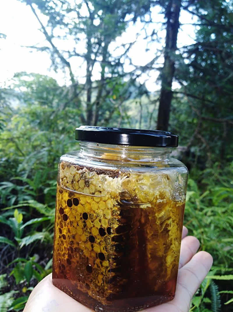 本地中蜂蜜，不用巢础，每年夏至取一次的纯自然蜜。