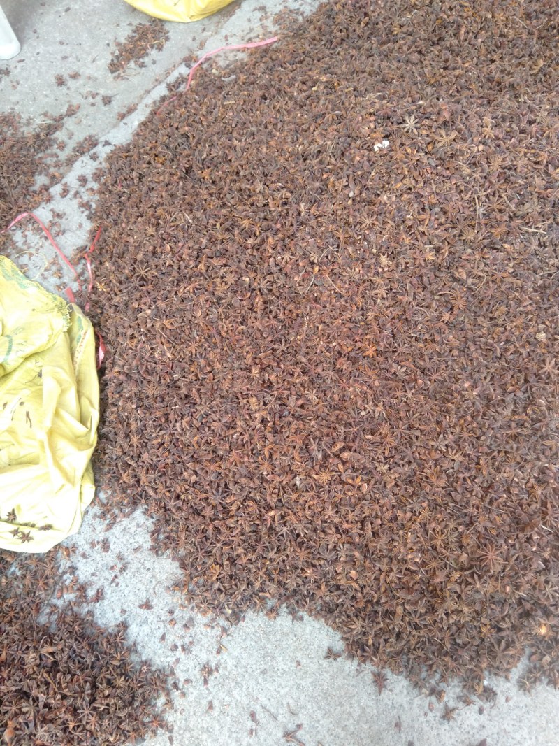 正宗广西大红八角卤肉香料大茴香大料一件代发