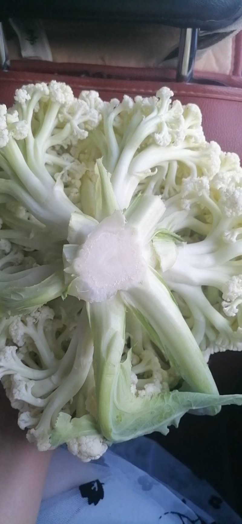 菜花，有机菜花，青梗，白面，产地直供，量大