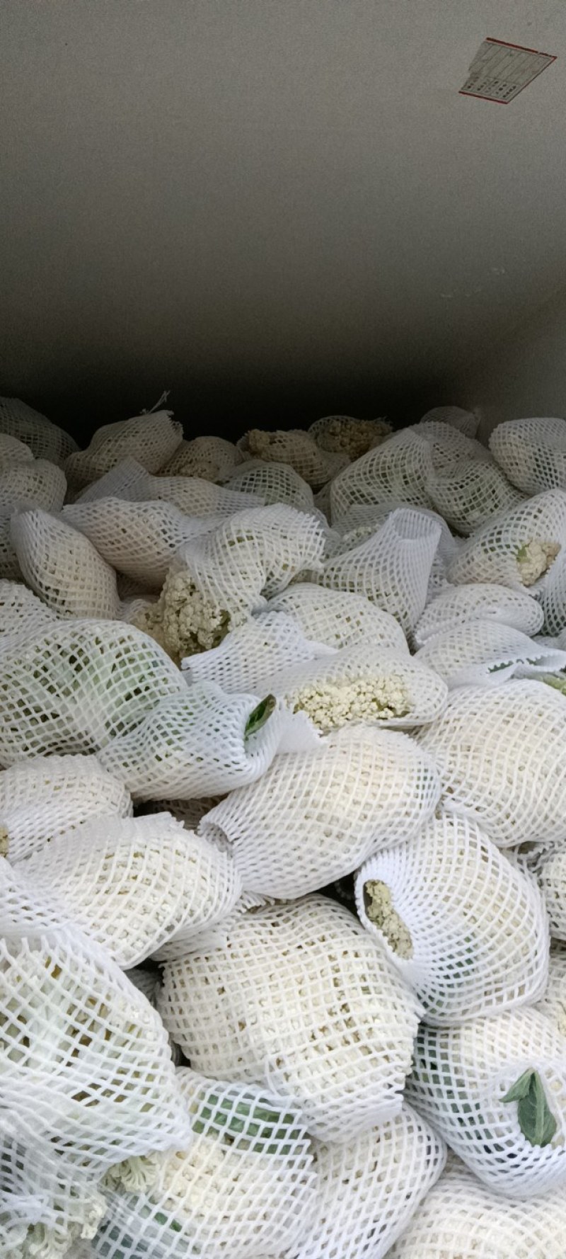 菜花，有机菜花，青梗，白面，产地直供，量大