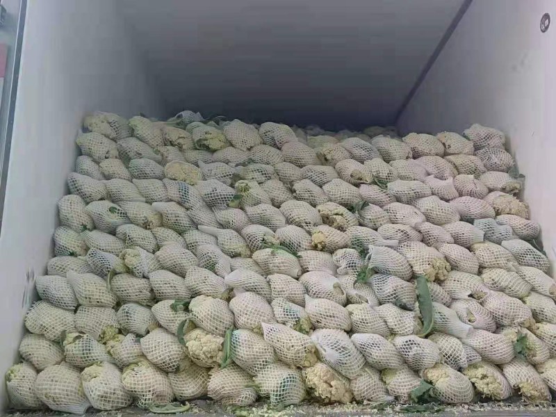 菜花，有机菜花，青梗，白面，产地直供，量大