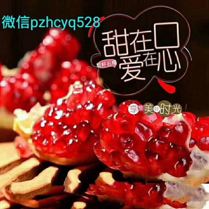 软子石榴