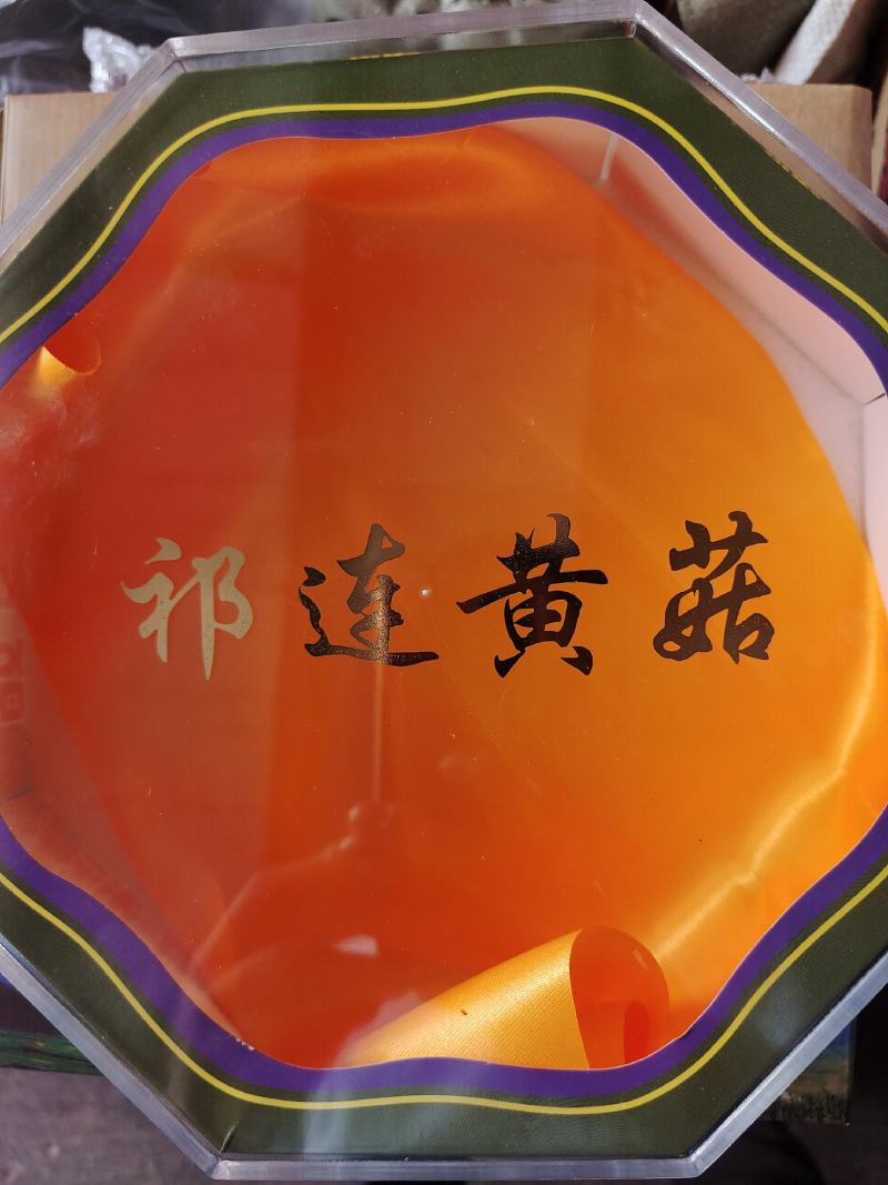 青海祁连精品黄菇、青藏特产、可用于餐饮，送礼