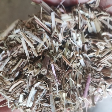 花生秧除膜小草1-3公分