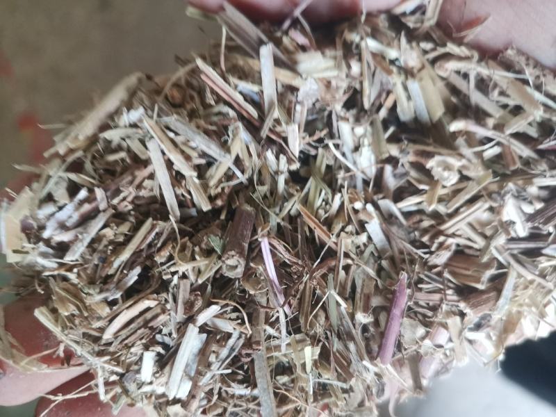 花生秧除膜小草1-3公分