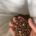 桂枝，一手源头，量大从优