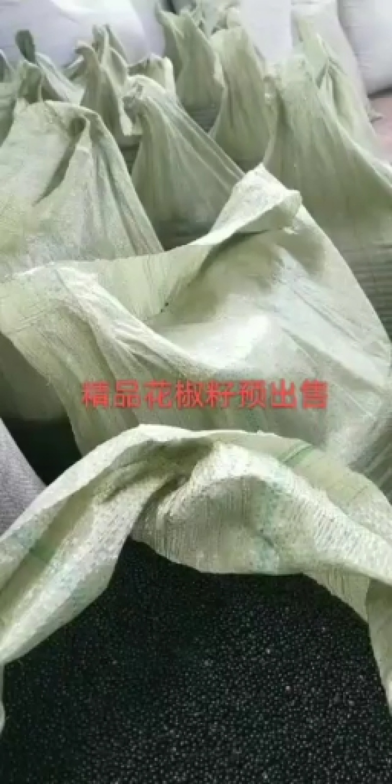 优质花椒籽、甘肃临夏花椒新出优质花椒籽无腐烂