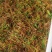 药农上山采挖，下山货，纯野生一支箭，水洗选杂质，色青足干