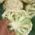 有机菜花。白面青梗松花菜。我处有大量有机菜花上市……