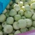 绿宝甜瓜