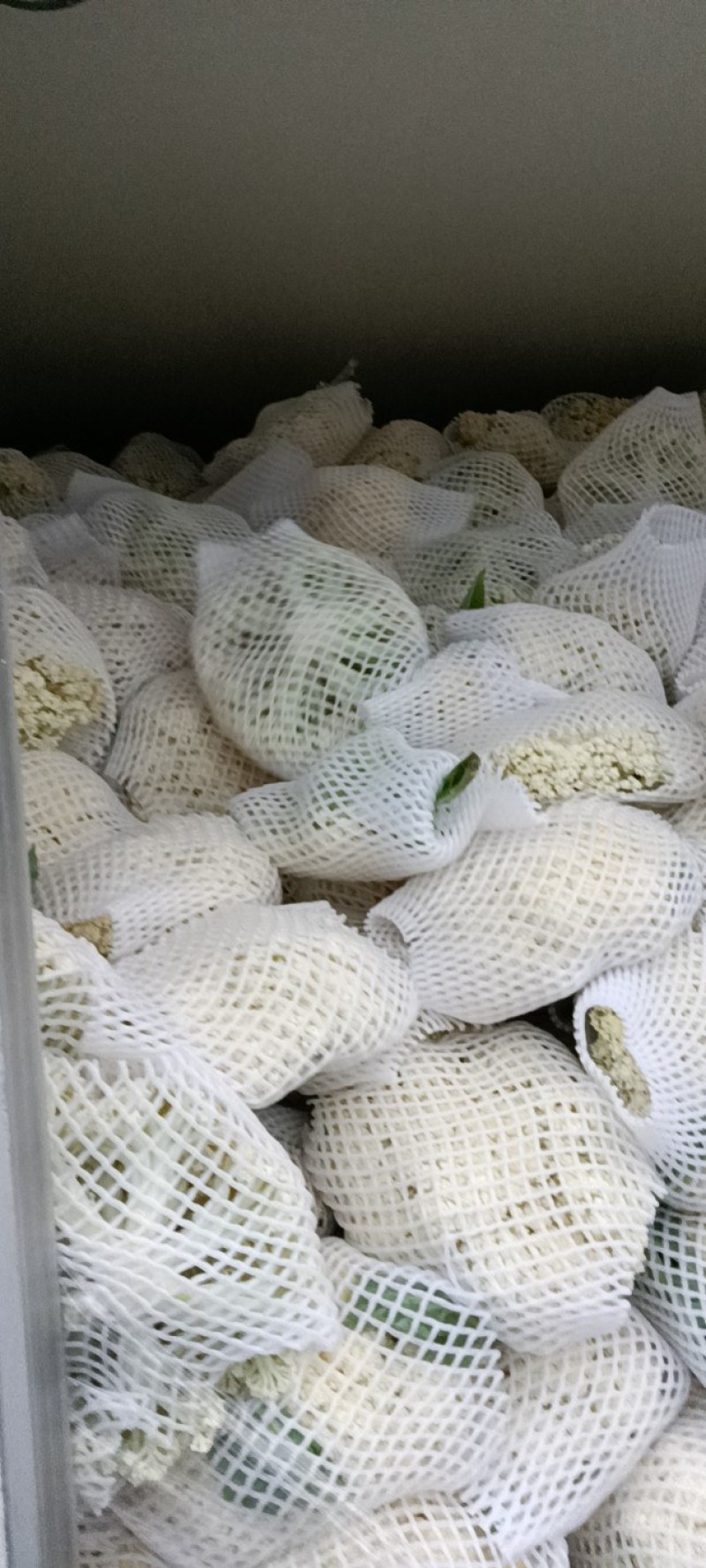 精品机菜花。白面青梗松花菜。质量保证，价格低廉。货源充足