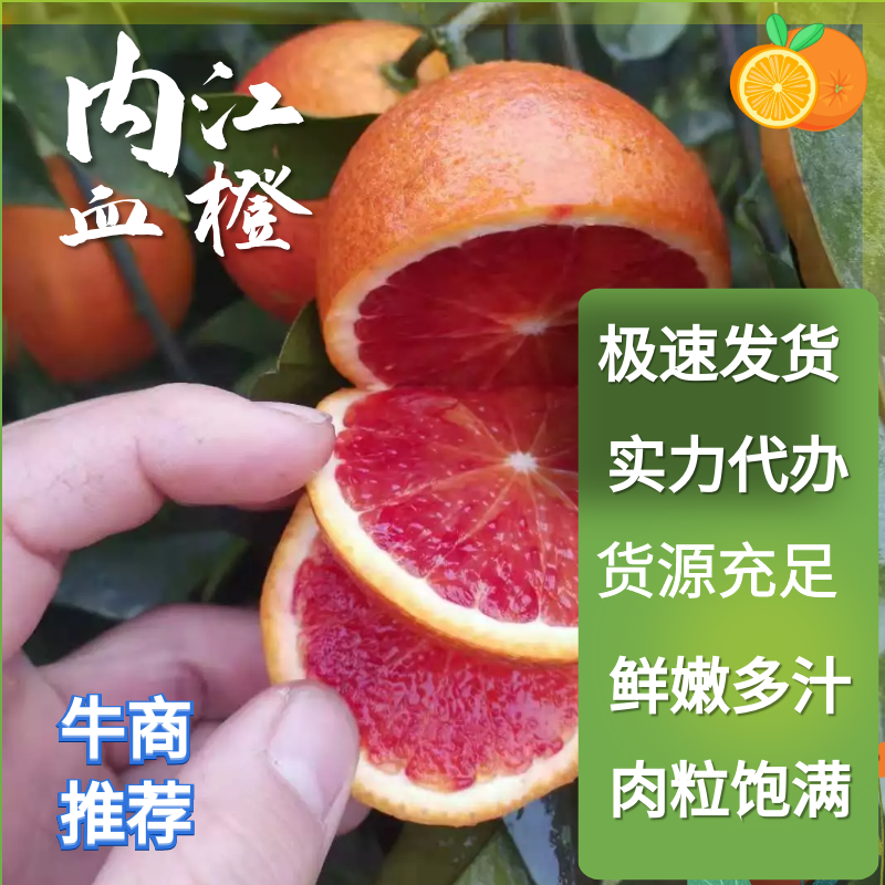 塔罗科血橙，大量上市，产地直供，血色分明，对接市场和电商