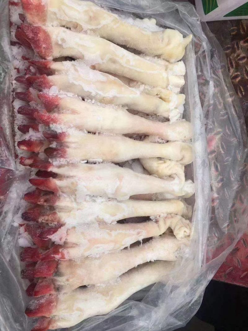 羊蹄，大中小号都有，观迎咨询！各种规格！！量大来谈