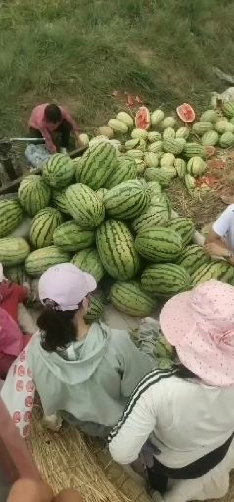 西瓜