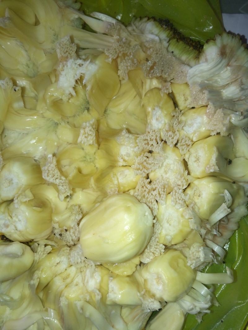 木菠萝