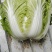 陕西靖边蔬菜