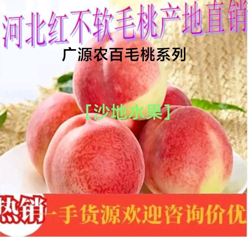 红不软毛桃，个头大，口感好、耐运输、耐储存