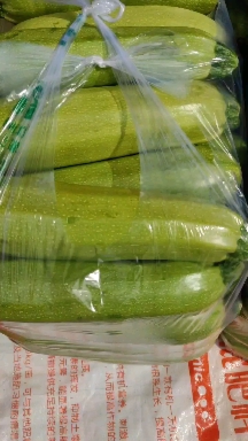 绿皮西葫芦