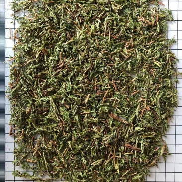 石上柏诚信经营干货中药材欢迎选购！量大从优