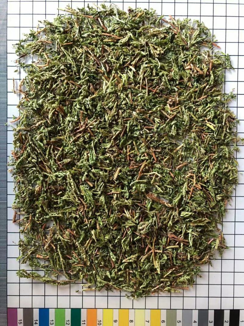 石上柏诚信经营干货中药材欢迎选购！量大从优