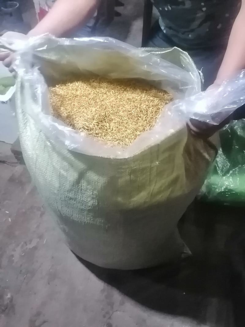 素馨花玉芙蓉鸡爪花