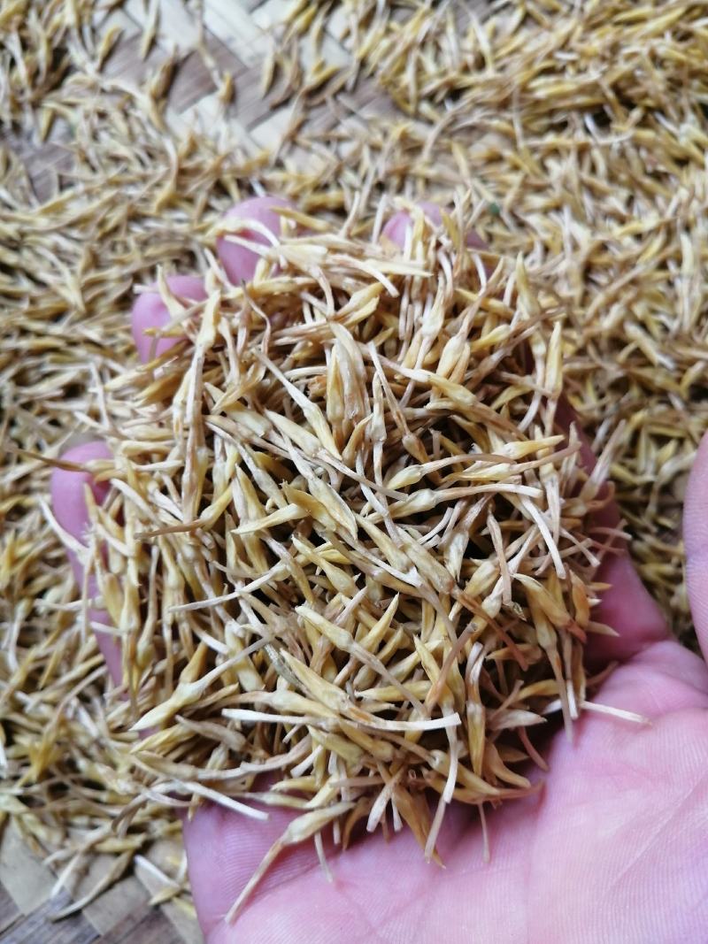 素馨花玉芙蓉鸡爪花