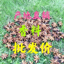 包邮广西八精选大料大红八角秋果干枝碎片足干批发产地
