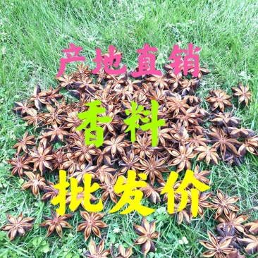 包邮广西八精选大料大红八角秋果干枝碎片足干批发产地