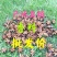 包邮广西八精选大料大红八角秋果干枝碎片足干批发产地