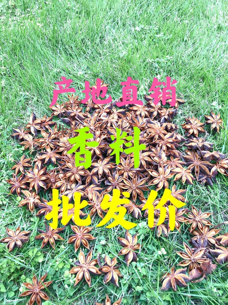 包邮广西八精选大料大红八角秋果干枝碎片足干批发产地