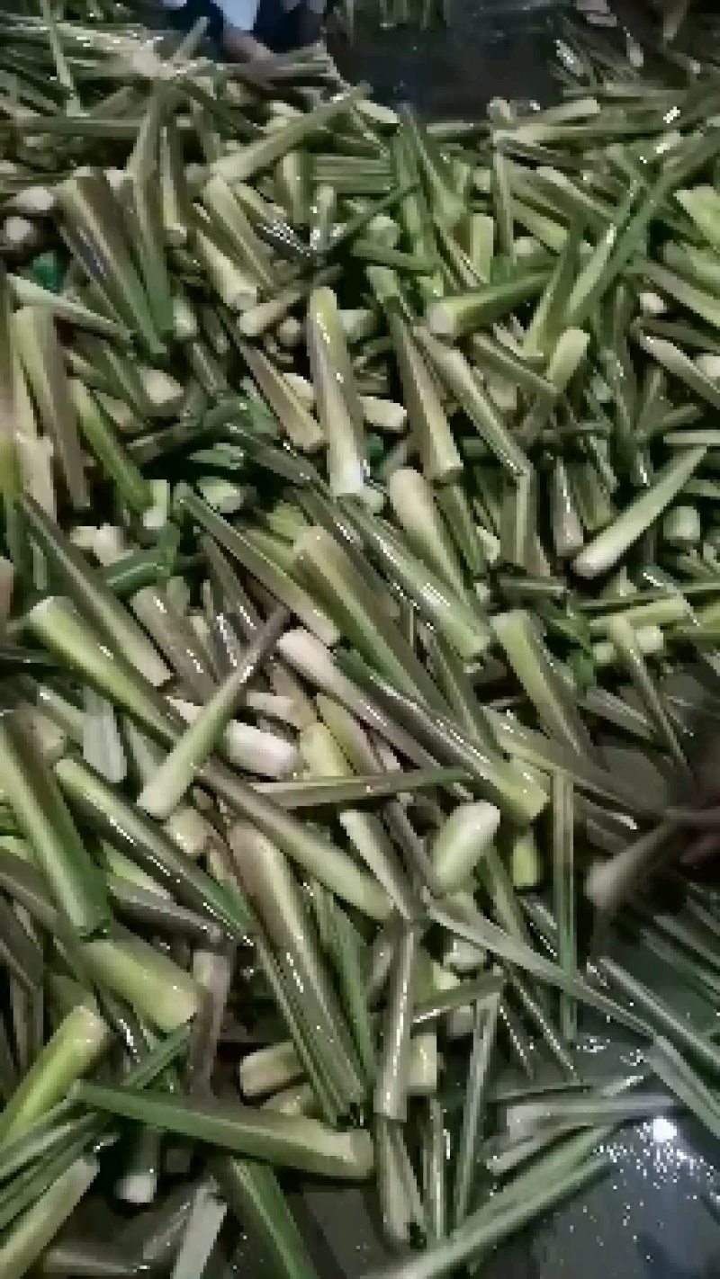 四川精品茭白上车价一块，质量有保证，价格优美，