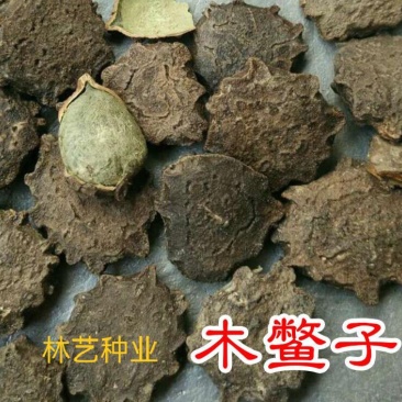 新采木鳖种子木鳖果狗屎瓜臭屎瓜木鳖子木别子